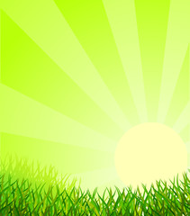 Obraz premium Ecological background. Vector illustration