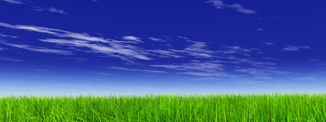 Fototapeta na wymiar green grass over a blue sky with white clouds as background