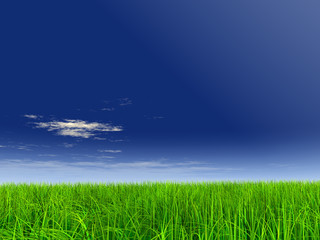 Obraz premium 3d green grass over a blue sky