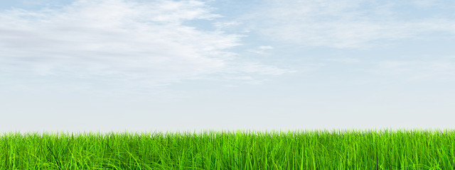 Obraz premium High resolution grass and sky background