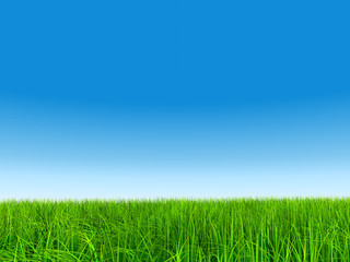High resolution grass and sky background
