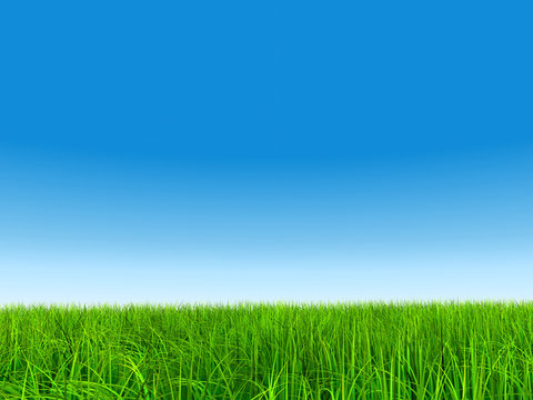 High resolution grass and sky background