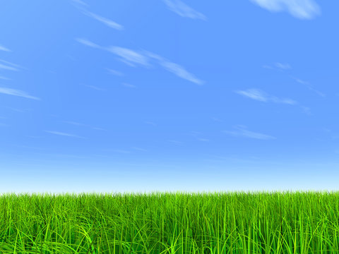 High resolution grass and sky background