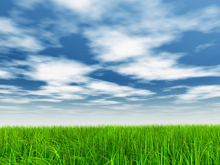 green grass over a blue sky with white clouds as background