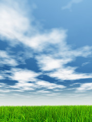 Fototapeta na wymiar high resolution 3d green grass over a blue sky with white clouds