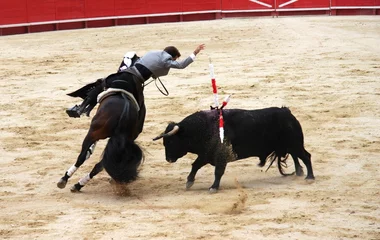 Fotobehang corrida © camille_kairos_