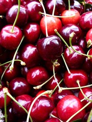 Kirschen aus dem Garten