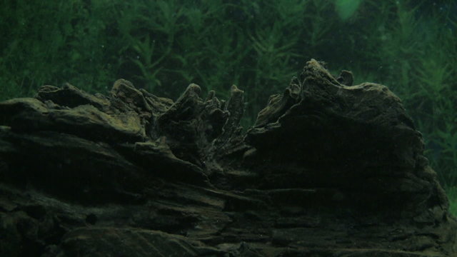 Underwater dust particles