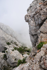 Rock