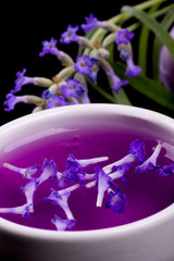 Lavender tincture