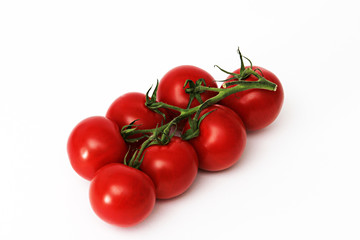 Strauchtomaten