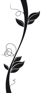 liane courbe (graphisme illustration ai) nature, feuillage