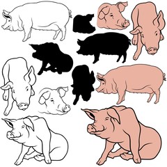 Fototapeta premium Pig Set 06 - colored hand drawn illustration