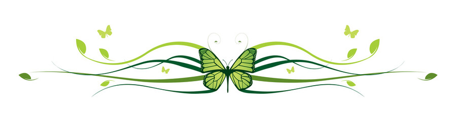 Elegant butterfly floral border