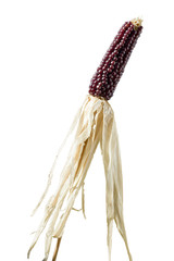 Sweetcorn