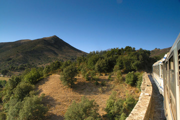 Fototapeta na wymiar pociąg i wnętrze krajobrazu Korsyki