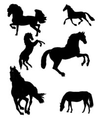 big collection of horse silhouettes