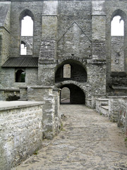 Fototapeta na wymiar Ruiny klasztoru św Brygidy w Tallinie