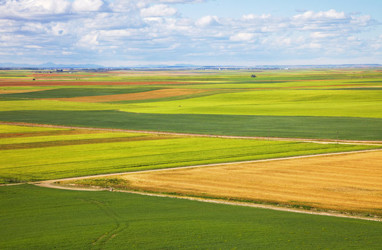 Castilla fields at spring