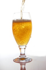 beer