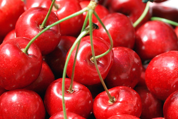 Closeup cherry