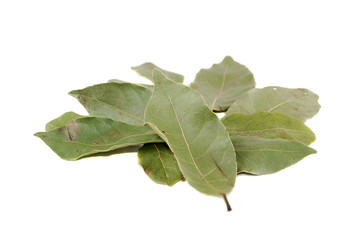 Fototapeta premium Laurel leaves