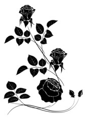 Dekoratives florales Ornament mit Rosenblüten