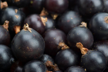 Black currants