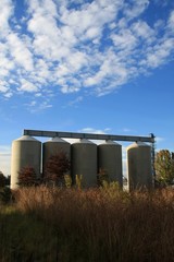 Storage Silos for Grain