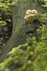 We're climbing together