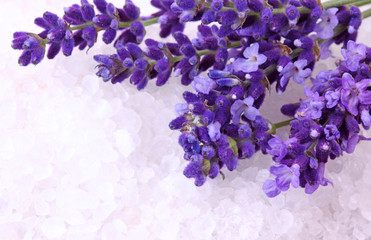Fresh lavender and bath salt