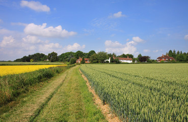 Fototapeta na wymiar An English Rural Landscape