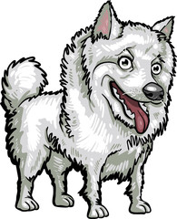Dog Breeds: American Eskimo
