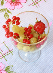 Berries assortie in the bowl