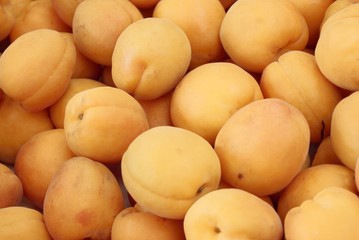apricots