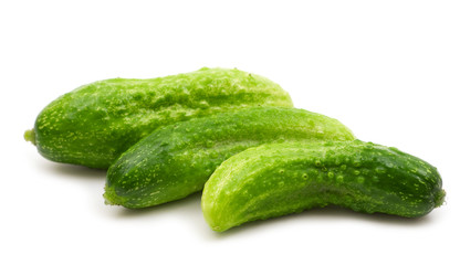 fresh bio cucumber on white background