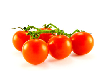 Tomatoes on The Vine