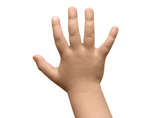 Hand of the child