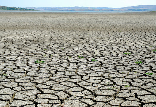 global warming - drought