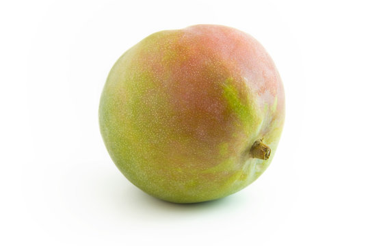 Mango liegend