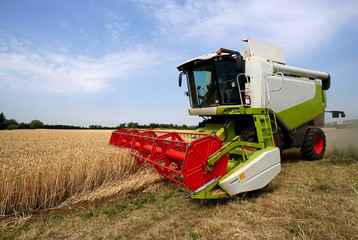 Obraz premium mietitura