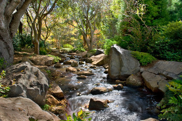 Stream running through a wooded area