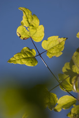 Bundesgartenschau M&uuml;nchen