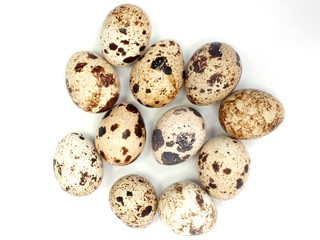 Quail eggs on white background