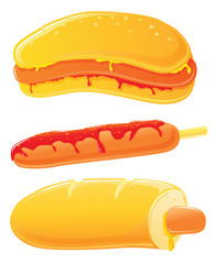 Hot dogs, vector.