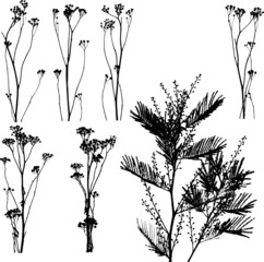 Lot of herbs and leaves silhouettes