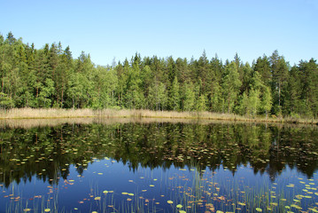 Fototapeta na wymiar Reflections on Serene Lake