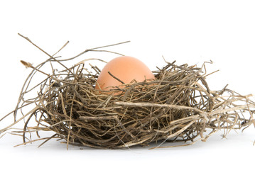 egg in nest isolated on white background
