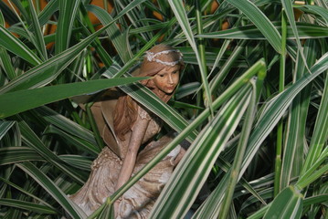 Elfe hinter Gräsern versteckt