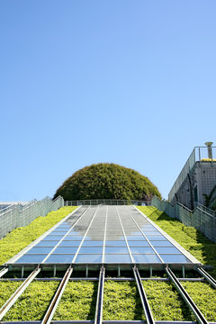 Garden of modern, ecological building.